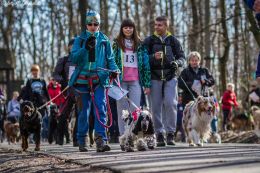 DOGTREKING z Wild Dogs Team 12.jpg