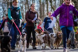 DOGTREKING z Wild Dogs Team 25.jpg