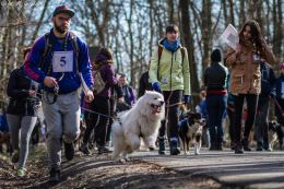 DOGTREKING z Wild Dogs Team 56.jpg