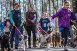 DOGTREKING z Wild Dogs Team 08.jpg