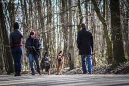 DOGTREKING z Wild Dogs Team 06.jpg