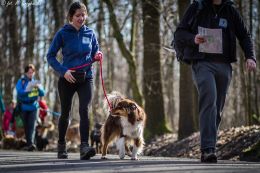 DOGTREKING z Wild Dogs Team 20.jpg