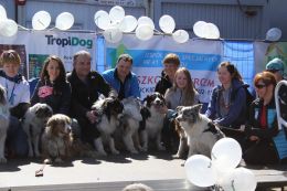 Niebieskie Zabrze 12.jpg