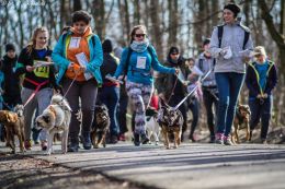DOGTREKING z Wild Dogs Team 19.jpg