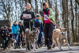 DOGTREKING z Wild Dogs Team 52.jpg