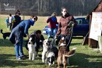 Druga edycja Niebieskiego Dogtrekkingu