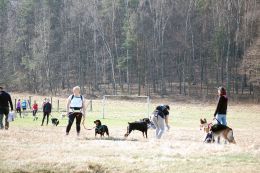 Dogtrekking_26.JPG