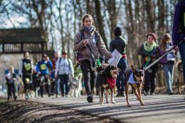 DOGTREKING z Wild Dogs Team 27.jpg