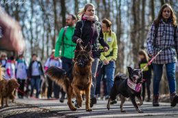 DOGTREKING z Wild Dogs Team 34.jpg