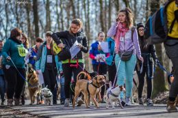 DOGTREKING z Wild Dogs Team 47.jpg